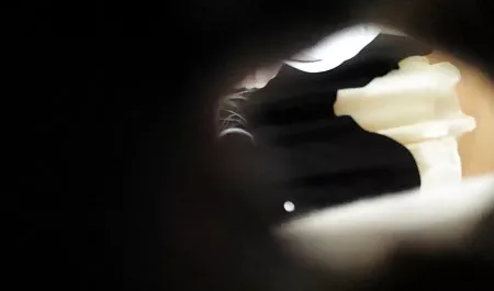الطفل نبيل سكس صور عرب ميشيل الصلب ، زاندر غراب-عيد الميلاد
