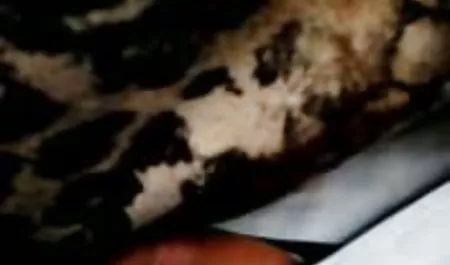 الدجاج عطعوط سكس عرب يمكن البقاء على قيد الحياة لمدة عشر سنوات مع الحب, كيرا