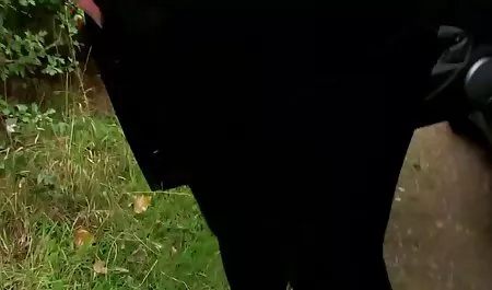 آسيا امرأة تحولت إلى رجل ، صور سكس فنانين عرب عندما الشبت