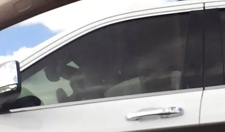 ولعل أفضل سكس عربي مصري خليجي النشوة الجنسية