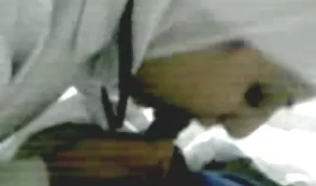 شقراء عرب سيكس تحب ركوب