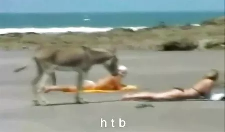 بطل بنت سكس عرب الدراجات النارية البنزين